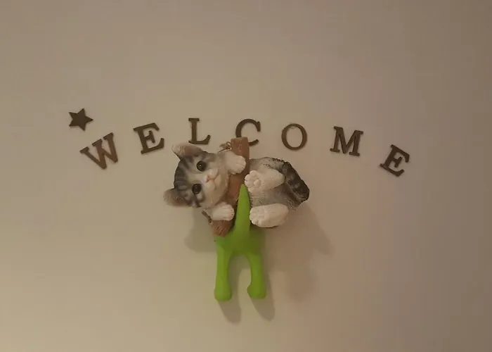 I Sleep Alone 게스트하우스